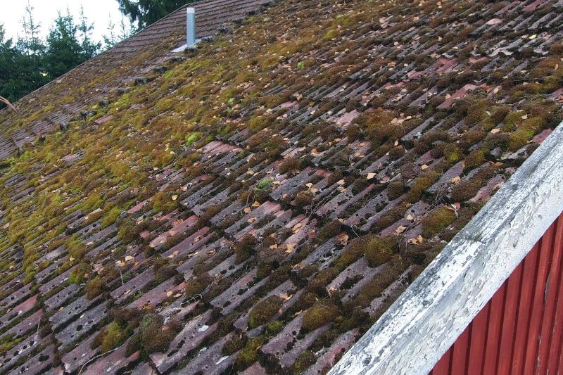 How to Maintain Your Roof to Extend Its Lifespan